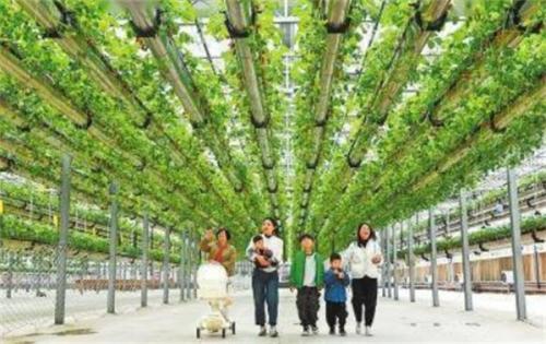 真金白银，旺消费class="ke_fpic"