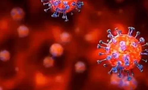 新冠病毒class="ke_fpic"