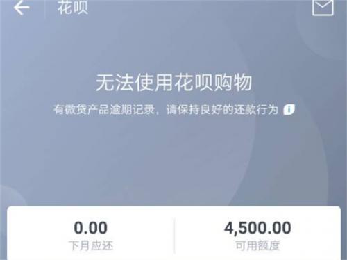 花呗逾期几天会冻结账户class="ke_fpic"
