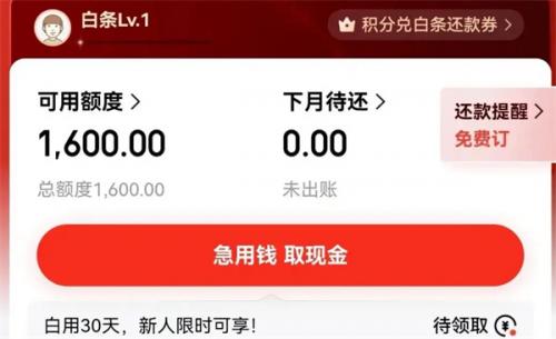 如何在京东白条上提前还款class="ke_fpic"