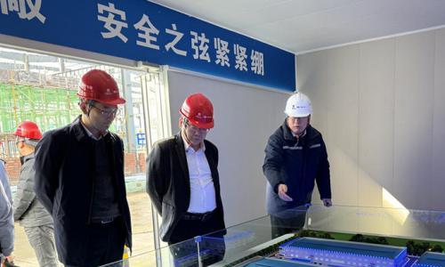 江阴市临港经济开发区管委会副主任顾志强一行到十七冶承建的项目调研